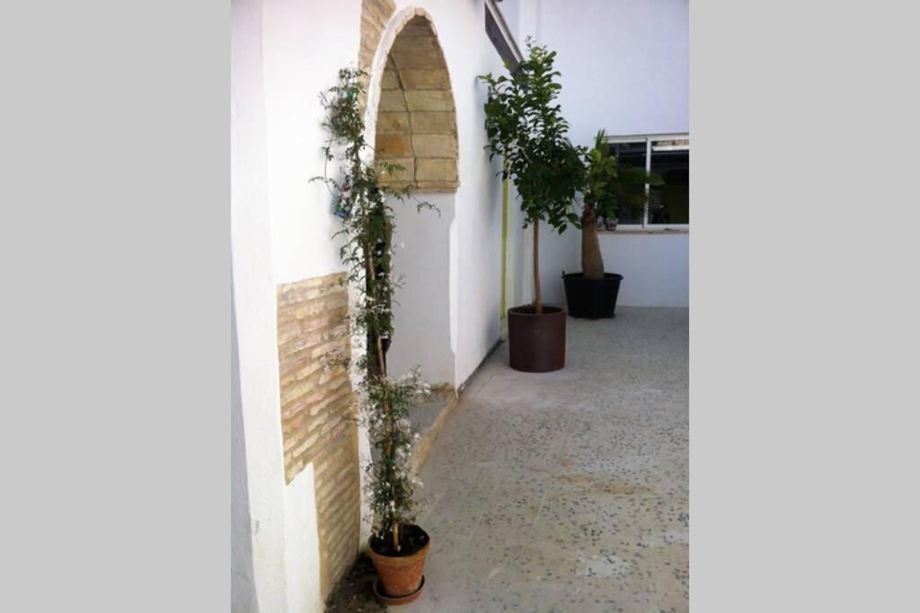 Casa Florinda #7 Apartamento Jerez de la Frontera Exterior foto